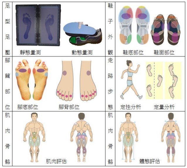 足型足壓、腳繭、鞋子外觀、走路步態與肌肉骨骼評估流程圖