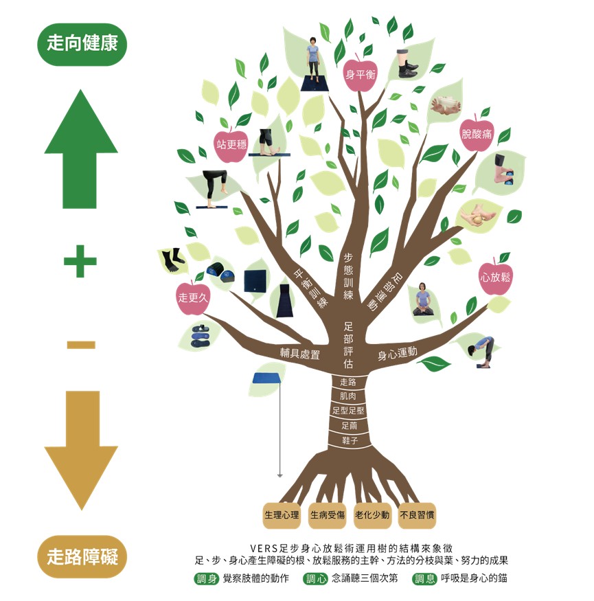 VERS足步身心放鬆術(FGMRT)架構圖:以健康樹呈現足部評估為核心,向上發展出輔具處置、平衡與步態訓練、足部與身心運動等走向健康的四大分枝;向下探討生理心理、生病受傷、老化少動、不良習慣等四種走路障礙之根。