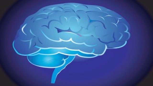 人類大腦構造插圖，象徵銀髮族平衡訓練結合認知功能的雙重任務訓練