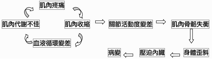 肌肉疼痛與身體失衡惡性循環流程圖